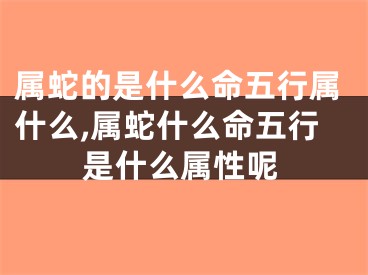 属蛇的是什么命五行属什么,属蛇什么命五行是什么属性呢