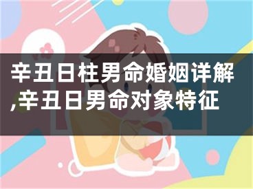 辛丑日柱男命婚姻详解,辛丑日男命对象特征
