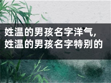 姓温的男孩名字洋气,姓温的男孩名字特别的