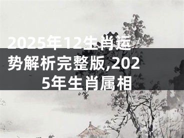 2025年12生肖运势解析完整版,2025年生肖属相