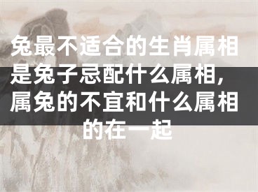 兔最不适合的生肖属相是兔子忌配什么属相,属兔的不宜和什么属相的在一起