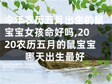 今年农历五月出生的鼠宝宝女孩命好吗,2020农历五月的鼠宝宝哪天出生最好