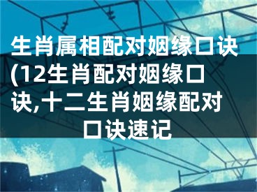 生肖属相配对姻缘口诀(12生肖配对姻缘口诀,十二生肖姻缘配对口诀速记