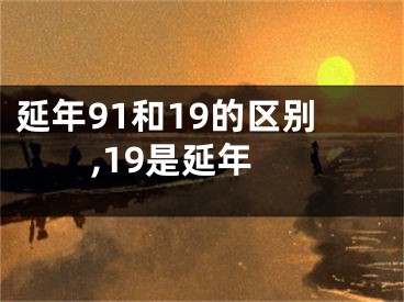 延年91和19的区别,19是延年