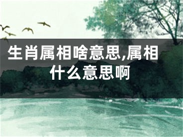 生肖属相啥意思,属相什么意思啊
