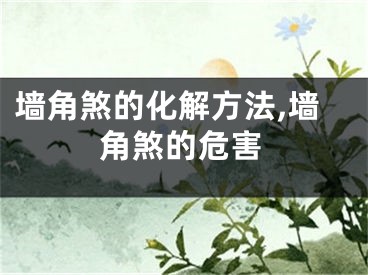 墙角煞的化解方法,墙角煞的危害