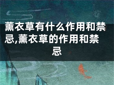 薰衣草有什么作用和禁忌,薰衣草的作用和禁忌