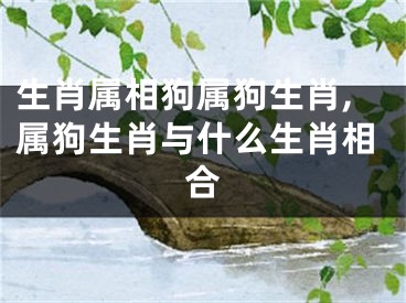 生肖属相狗属狗生肖,属狗生肖与什么生肖相合
