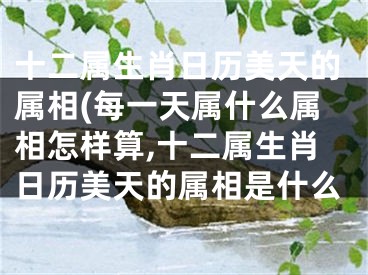 十二属生肖日历美天的属相(每一天属什么属相怎样算,十二属生肖日历美天的属相是什么