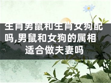 生肖男鼠和生肖女狗配吗,男鼠和女狗的属相适合做夫妻吗