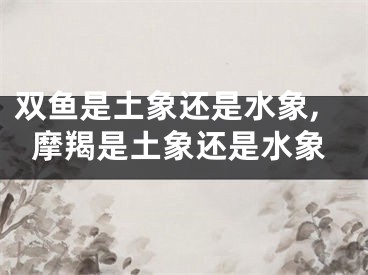 双鱼是土象还是水象,摩羯是土象还是水象