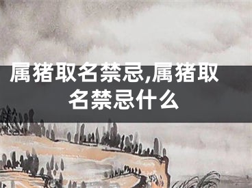 属猪取名禁忌,属猪取名禁忌什么