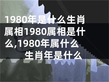 1980年是什么生肖属相1980属相是什么,1980年属什么生肖年是什么
