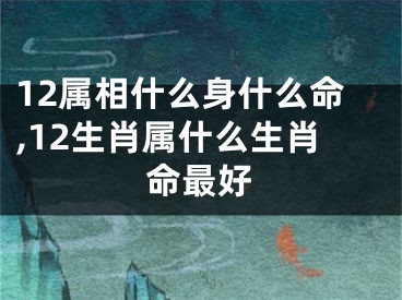 12属相什么身什么命,12生肖属什么生肖命最好