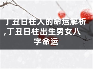 丁丑日柱人的命运解析,丁丑日柱出生男女八字命运