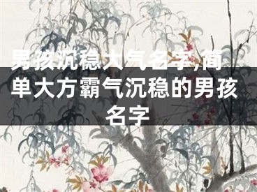 男孩沉稳大气名字,简单大方霸气沉稳的男孩名字