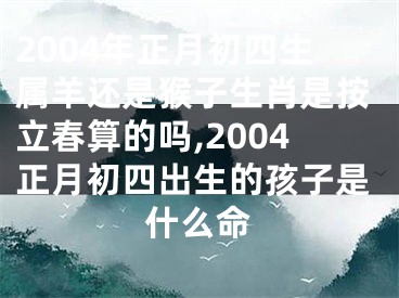 2004年正月初四生属羊还是猴子生肖是按立春算的吗,2004正月初四出生的孩子是什么命