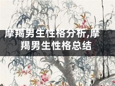 摩羯男生性格分析,摩羯男生性格总结