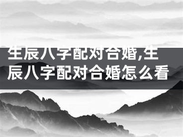 生辰八字配对合婚,生辰八字配对合婚怎么看
