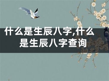 什么是生辰八字,什么是生辰八字查询