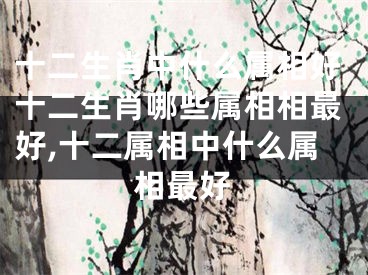 十二生肖中什么属相好十二生肖哪些属相相最好,十二属相中什么属相最好