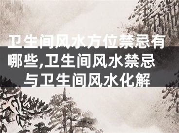 卫生间风水方位禁忌有哪些,卫生间风水禁忌与卫生间风水化解