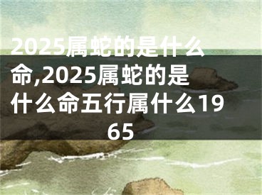 2025属蛇的是什么命,2025属蛇的是什么命五行属什么1965