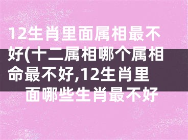 12生肖里面属相最不好(十二属相哪个属相命最不好,12生肖里面哪些生肖最不好
