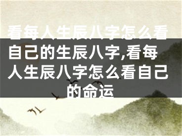 看每人生辰八字怎么看自己的生辰八字,看每人生辰八字怎么看自己的命运