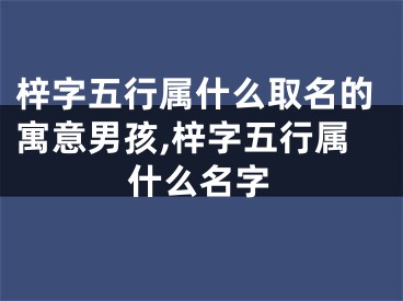 梓字五行属什么取名的寓意男孩,梓字五行属什么名字