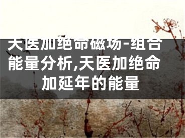 天医加绝命磁场-组合能量分析,天医加绝命加延年的能量
