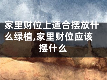 家里财位上适合摆放什么绿植,家里财位应该摆什么