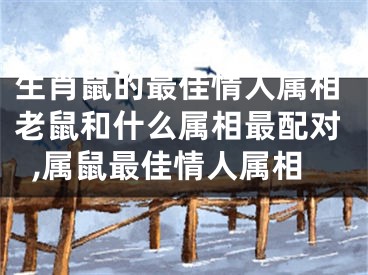 生肖鼠的最佳情人属相老鼠和什么属相最配对,属鼠最佳情人属相