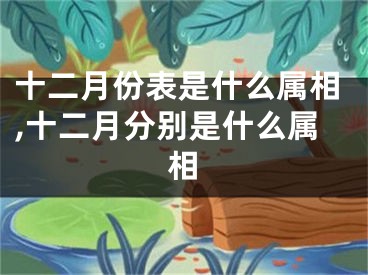 十二月份表是什么属相,十二月分别是什么属相