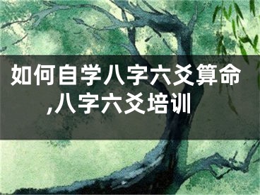如何自学八字六爻算命,八字六爻培训