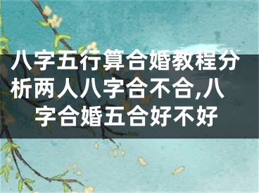 八字五行算合婚教程分析两人八字合不合,八字合婚五合好不好