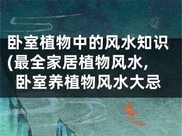 卧室植物中的风水知识(最全家居植物风水,卧室养植物风水大忌