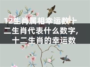 12生肖属相幸运数十二生肖代表什么数字,十二生肖的幸运数