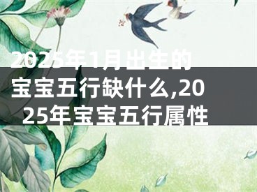 2025年1月出生的宝宝五行缺什么,2025年宝宝五行属性