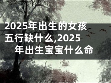 2025年出生的女孩五行缺什么,2025年出生宝宝什么命