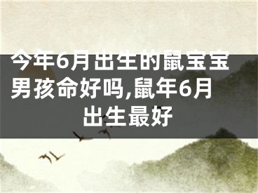 今年6月出生的鼠宝宝男孩命好吗,鼠年6月出生最好