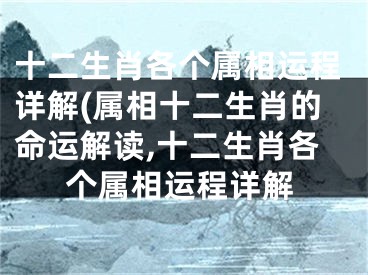 十二生肖各个属相运程详解(属相十二生肖的命运解读,十二生肖各个属相运程详解