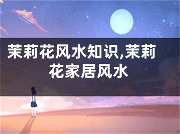 茉莉花风水知识,茉莉花家居风水