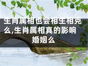 生肖属相也会相生相克么,生肖属相真的影响婚姻么