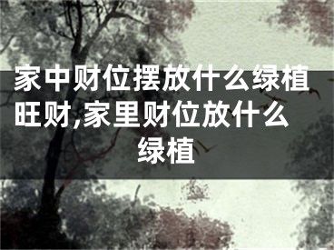家中财位摆放什么绿植旺财,家里财位放什么绿植