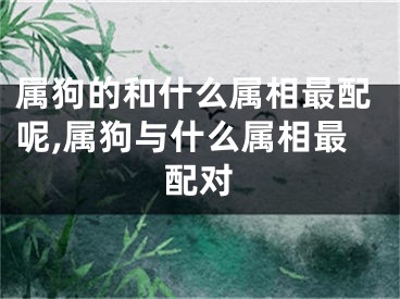 属狗的和什么属相最配呢,属狗与什么属相最配对