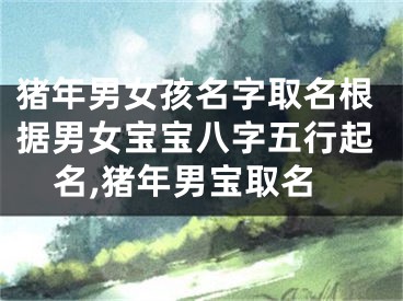猪年男女孩名字取名根据男女宝宝八字五行起名,猪年男宝取名