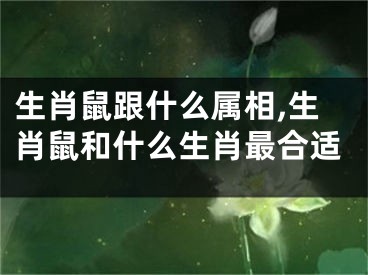 生肖鼠跟什么属相,生肖鼠和什么生肖最合适