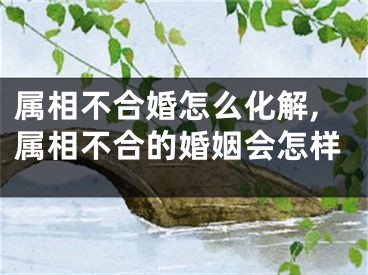 属相不合婚怎么化解,属相不合的婚姻会怎样