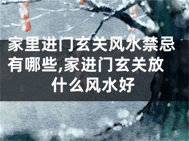 家里进门玄关风水禁忌有哪些,家进门玄关放什么风水好